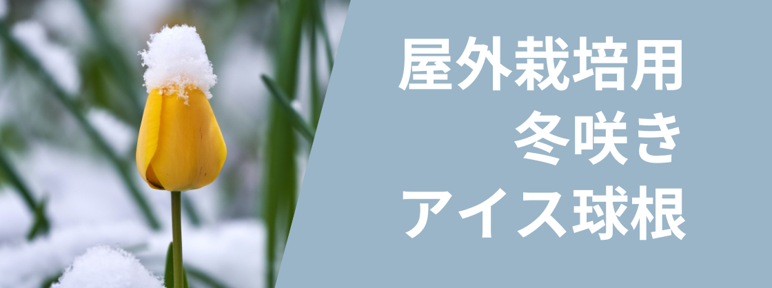 富山県花卉球根農業協同組合WEBショップ